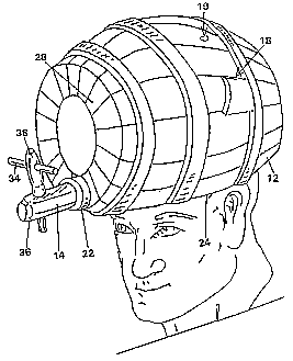Patent drawing: WO9939598